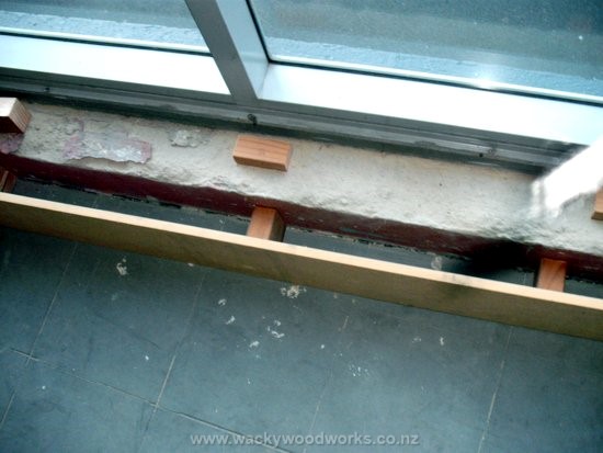 Back supports