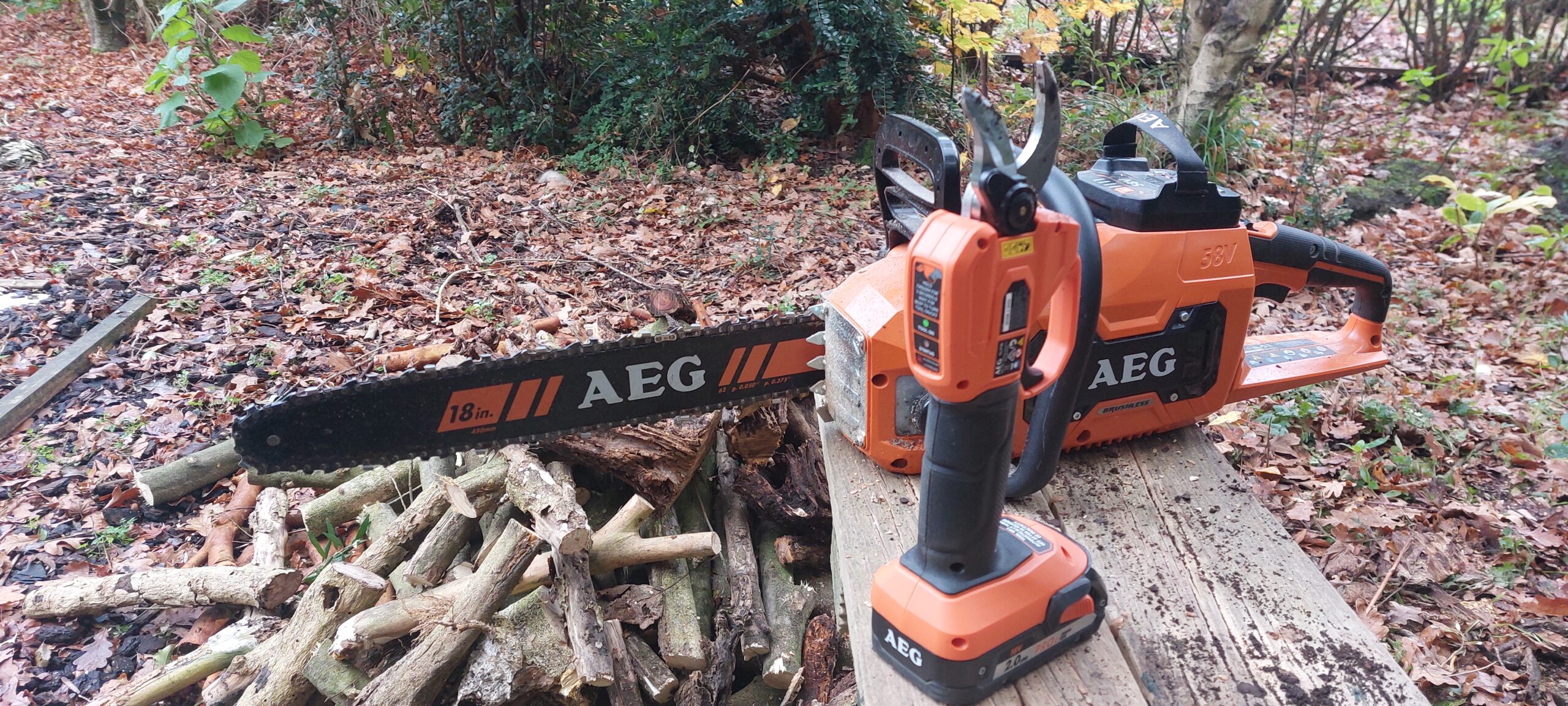AEG Chainsaw
