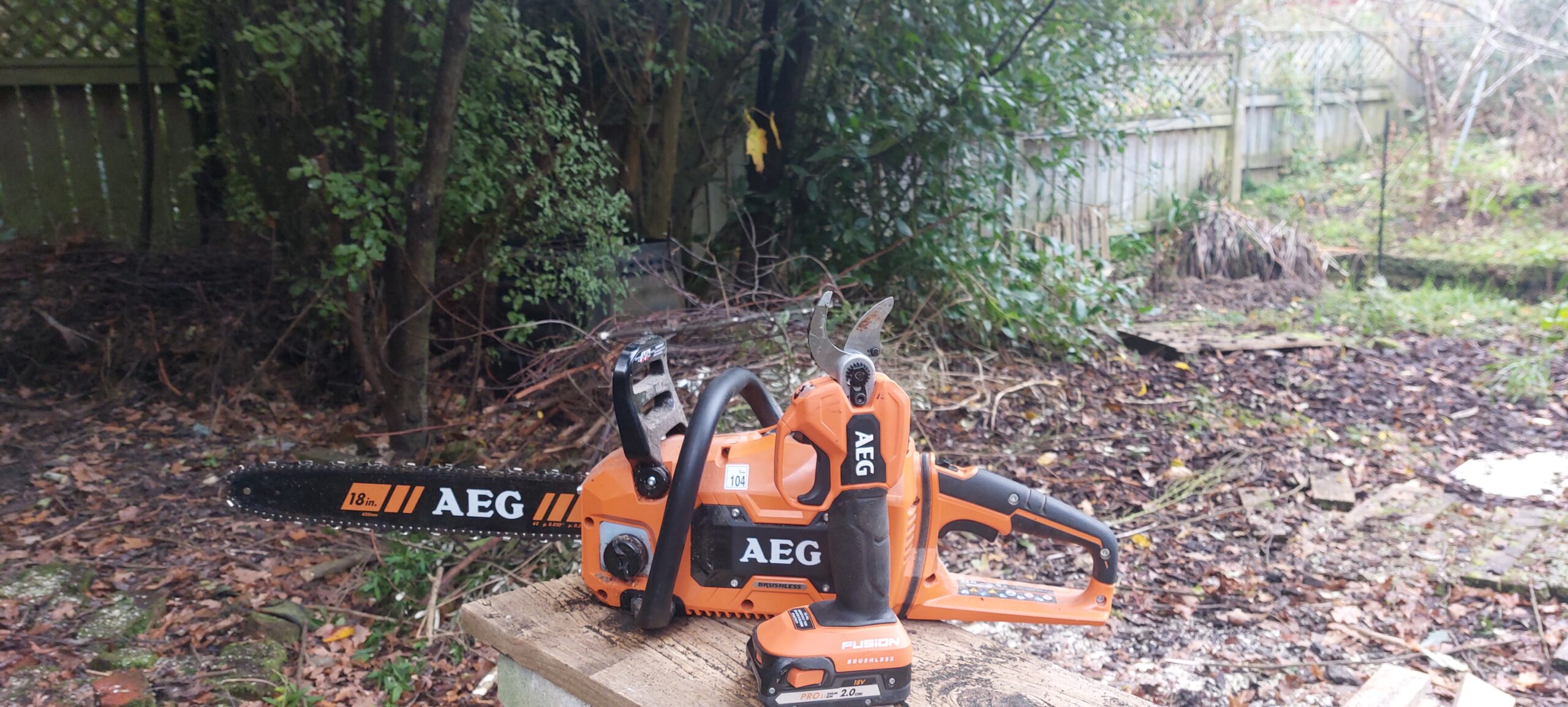 AEG Chainsaw